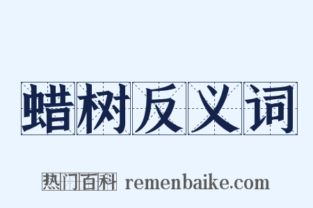 蜡树反义词是什么意思的图片